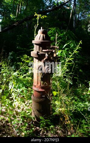 Abbandonato idrante fuoco nei boschi vicino Jaite Paper Mill Nel Parco Nazionale della Cuyahoga Valley Foto Stock