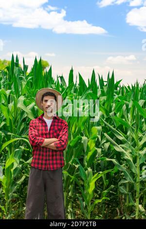 Coltivatore che utilizza un computer tablet digitale nella piantagione di campi di mais coltivati. Moderna applicazione tecnologica nell'attività agricola in crescita. Imag. Concetto Foto Stock