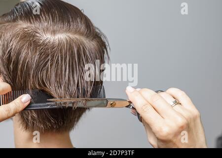 il processo di taglio dei capelli primo piano. donna con capelli corti marrone Foto Stock