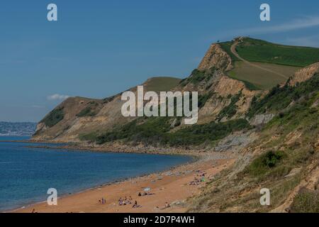 Underscogliere sulla costa occidentale del Dorset, guardando ad ovest da Eype a Thorncombe Beacon e oltre a Lyme Regis. Foto Stock