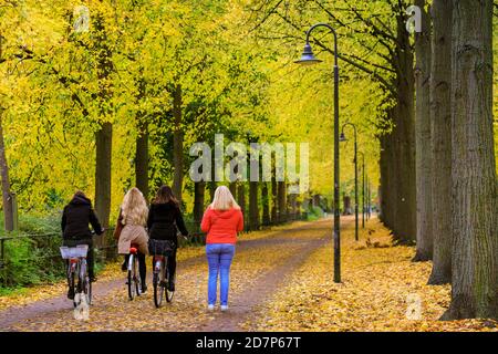 Muenster, NRW, Germania. 24 Ott 2020. Ciclisti e escursionisti sulla 'Promenade', un popolare viale fiancheggiato da alberi di lime (tilia), lungo le mura della città vecchia. Gli alberi d'autunno si sono trasformati in vibranti spruzzi di rosso, giallo e arancione in una giornata altrimenti grigia e fresca in città. Credit: Imageplotter/Alamy Live News Foto Stock