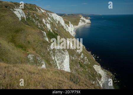 Bianche scogliere di gesso, guardando a est da White Nothe verso Swyre Head e Durdle Door, Dorset. Foto Stock