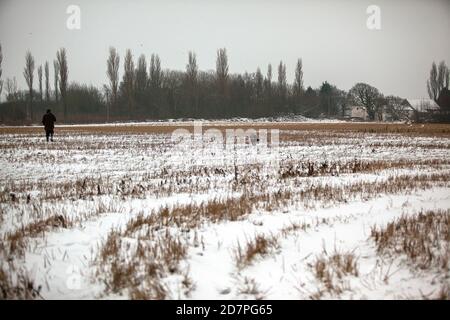 Sparare in mostra su un gioco guidato sparare in Lancashire, Inghilterra Foto Stock