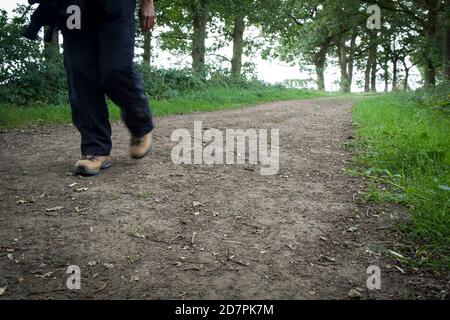 Donna che indossa scarpe da trekking camminando su un sentiero attraverso i boschi Nella campagna del Regno Unito Foto Stock