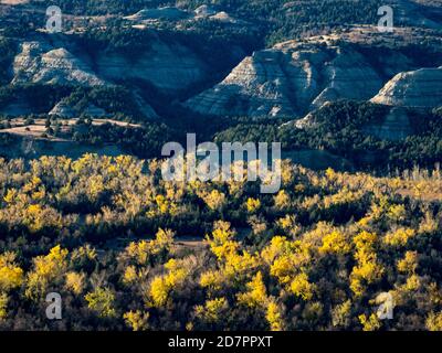 Colori autunnali lungo il fiume Little missouri nelle Badlands del Theodore Roosevelt National Park, North Dakota, USA Foto Stock