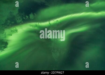 Aurora boreale di fronte ad un cielo stellato, Digermulen, Nordland, Lofoten, Norvegia Foto Stock