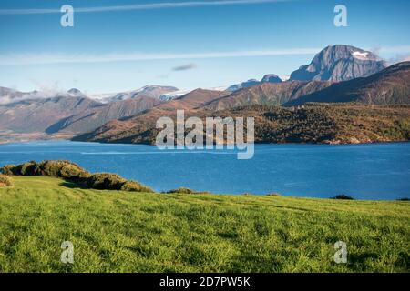 Pascolo verde di fronte a un fiordo, dietro la catena montuosa e lingua del ghiacciaio Svartisen, Svartisen, Nordland, Norvegia Foto Stock