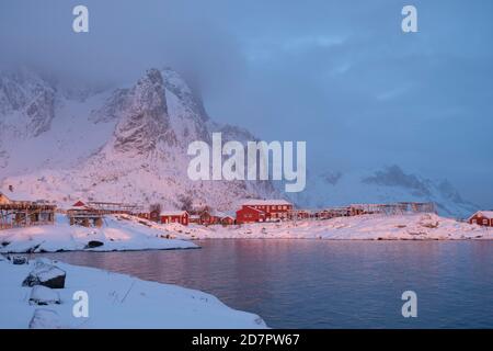 Atmosfera invernale al mattino presto in un villaggio di pescatori, scaffali di pesce, nevicate in montagna, Reine, Nordland, Lofoten, Norvegia Foto Stock