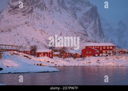 Atmosfera invernale al mattino presto nel villaggio di pescatori, scaffali di pesce, nevicate in montagna, Reine, Nordland, Lofoten, Norvegia Foto Stock