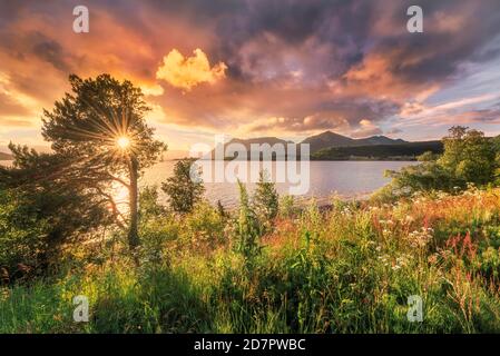 Sole di mezzanotte a metà estate dal fiordo, fitta vegetazione, calda luce atmosfera con la stella del sole, Bogoy, Nordland, Norvegia Foto Stock