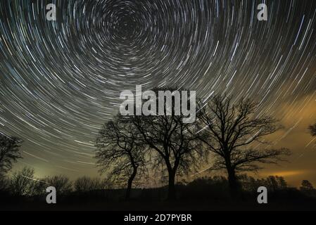 Percorsi stellari su alberi nel cielo notturno, cielo stellato, ruota stellare, notte, cielo, cosmo, Oldenburger Muensterland, Goldenstedt, bassa Sassonia, Germania Foto Stock