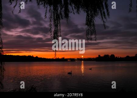 Vista su un lago all'alba. Paesaggio di vacanza al mare. Tranquilla scena rilassante con un bellissimo cielo colorato. Silhouette di salice piangente. Foto Stock