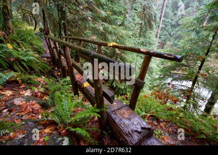 Ponte lungo Boulder River Trail, Boulder River in lontananza, Boulder River Wilderness, Central Cascades, Washington, USA Foto Stock