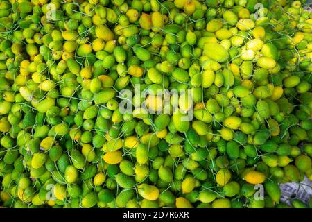 Verdure di zucca fresche e verdi, pronte per la vendita sul mercato. Foto Stock