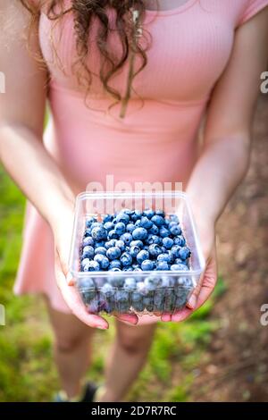 Fattoria estate campagna giardino e donna giovane ragazza raccolta bacche mirtilli in abito rosa con contenitore pieno di frutta blu Foto Stock