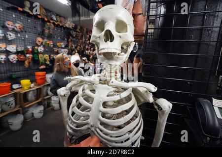 St. Louis, Stati Uniti. 24 Ott 2020. Uno scheletro da laboratorio di dimensioni complete è pronto per la vendita per Halloween, presso il Johnnie Brock's Dungeon, a St. Louis, sabato 24 ottobre 2020. Photo by Bill Greenblatt/UPI Credit: UPI/Alamy Live News Foto Stock