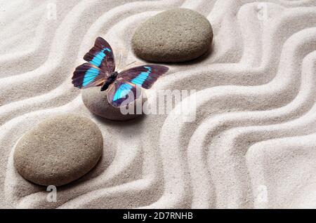 Giardino Zen di meditazione sullo sfondo di pietra e butterfly con pietre e linee in sabbia per il rilassamento di equilibrio e armonia della spiritualità o spa wellness. Foto Stock