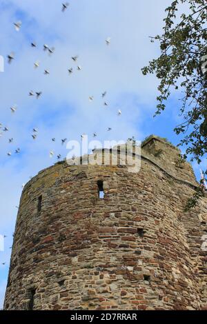 L'ingresso Landgate a Rye in East Sussex, costruito nel 1300 come parte del cinque porto muro di difesa Foto Stock