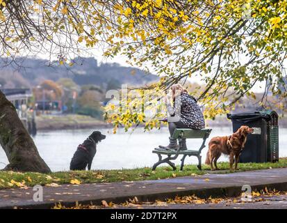 The Marina, Cork, Irlanda. 25 Ottobre 2020. Clodagh o' Driscoll di Blackrock si siede e gode un caffè mentre la sua mattina a piedi con i suoi due cani Murphy e Rua sulla Marina a Cork, Irlanda. - credito; David Creedon / Alamy Live News Foto Stock