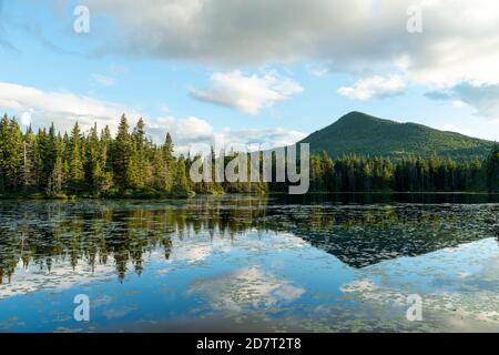 La cima del Corno riflesso in Unknown Pond in prima serata, estate, agosto, White Mountain National Forest, New Hampshire. Foto Stock