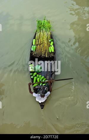 Il mercato galleggiante del Bangladesh è famoso per il commercio di Guava così come di altre verdure sulle barche. Il luogo è in Bhimruli - un villaggio del distretto di Jhalakathi in Barisal. Quest'area dista circa 15 chilometri dal quartiere cittadino e il mercato è sempre affollato da acquirenti e venditori, in quanto qui vengono commercializzati diversi tipi di prodotti. Durante tutto l'anno il mercato offre vari prodotti da acquistare. Tuttavia, il luogo diventa più affollato nella stagione per guava e prugne di porci dal mese di luglio a settembre. Il mercato galleggiante si imposta ogni giorno della settimana dalle 8 alle 13:00 nell'estuario Foto Stock