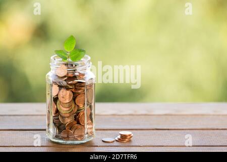 Pianta che cresce da monete nel vaso di vetro su sfocato sfondo verde naturale con effetto luce solare e spazio di copia per la crescita economica e finanziaria c Foto Stock