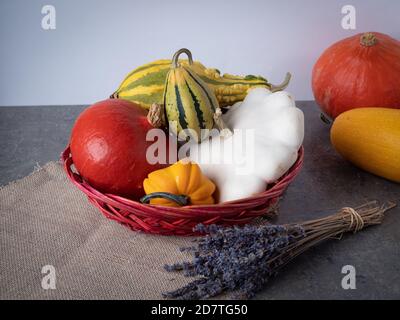 zucche colorate in un cestino sulla tavola composizione di natale, tempo di halloween Foto Stock