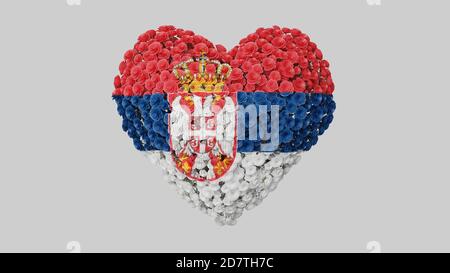 Serbia. Giornata Nazionale. 15 febbraio. Forma del cuore fatta di fiori su sfondo bianco. Rendering 3D. Foto Stock