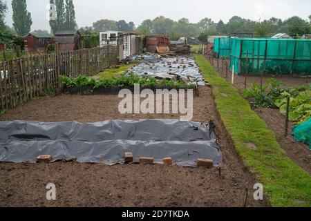 Prendendo su un patch di verdure di assegnazione, heap di composto, patch di cavolo, progettando il layout, obiettivi organici, piante che si sviluppano, raccolto, giardinaggio organico. Foto Stock