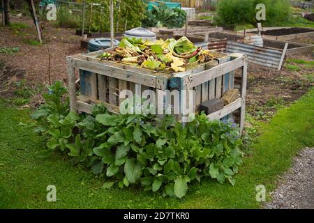 Assegnazione, verdura, cerotto, mucchio di composto, cerotto di cavolo, Pianificazione, layout, obiettivi organici, piante che si sviluppano, raccolta, giardinaggio organico, brassici. Foto Stock