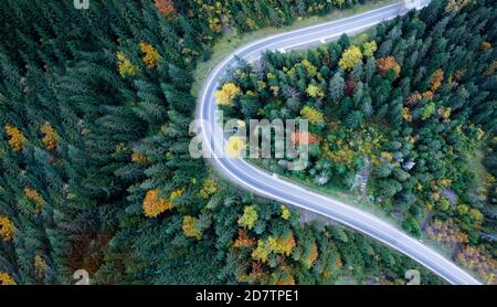 Vista dall'alto, strada attraverso fitta foresta. Vista aerea. Foto Stock
