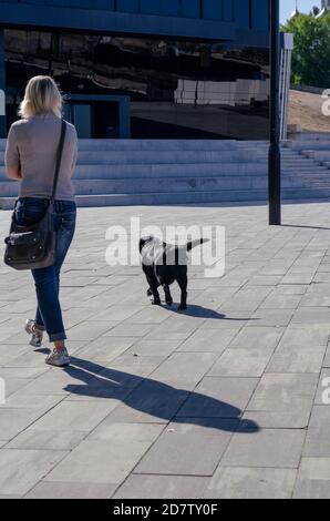 Una donna adulta cammina lungo la piazza della città con labrador nero. Vista da dietro su bella donna e animale domestico di 11 anni. Stile di vita Foto Stock