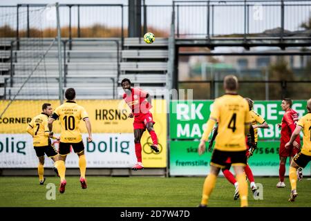 Horsens, Danimarca. 25 Ott 2020. Johan Djourou (28) del FC Nordsjaelland visto durante la partita 3F Superliga tra AC Horsens e FC Nordsjaelland alla Casa Arena di Horsens. (Photo Credit: Gonzales Photo/Alamy Live News Foto Stock