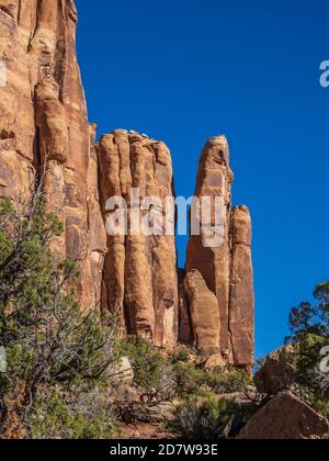 Scogliere e colonne lungo l'Upper Monument Canyon Trail, Colorado National Monument vicino a Grand Junction, Colorado. Foto Stock