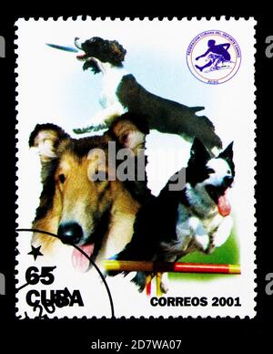 MOSCA, RUSSIA - 28 MARZO 2018: Un francobollo stampato a Cuba mostra cani (Canis lupus familiaris), serie, circa 2001 Foto Stock