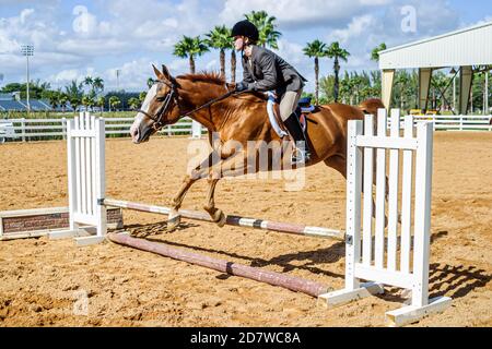 Miami Florida,Tropical Park,Heritage Horse Show,donna cavaliere che gareggia con il jumping, Foto Stock