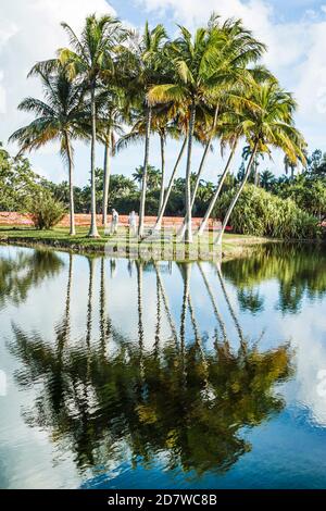 Miami Florida, Coral Gables, Fairchild Tropical Garden, Botanical Gardens, Palm trees Water Reflection, Foto Stock