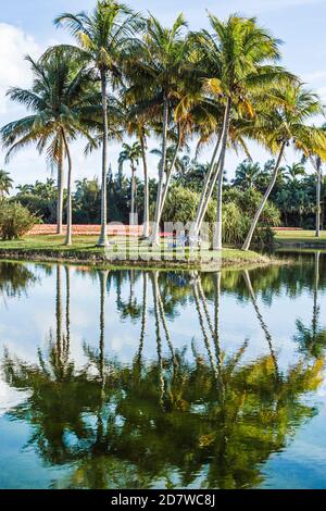 Miami Florida, Coral Gables, Fairchild Tropical Garden, Botanical Gardens, Palm trees Water Reflection, Foto Stock