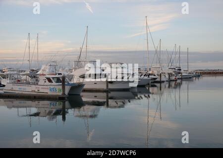 Barche a Nelson Bay, NSW Foto Stock