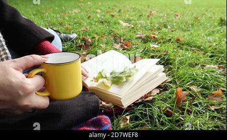 Una ragazza si siede su una coperta nella foresta autunnale, legge un libro e beve una bevanda calda da una tazza gialla in un parco cittadino in una giornata calda su un prato verde. T Foto Stock