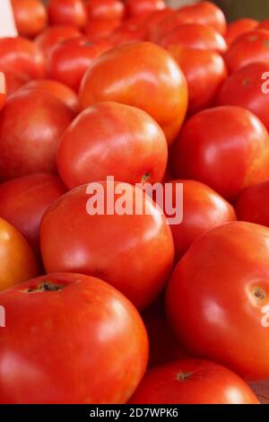 Immagine ravvicinata dei pomodori al mercato agricolo di Wilmington, North Carolina Foto Stock