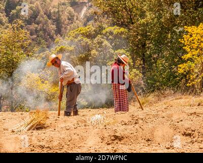 Uomo e moglie che preparano il campo bruciandolo prima di piantare. Foto Stock