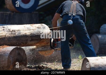 Prospect, Oregon / USA - 16 agosto 2014: Un uomo compete in un evento motosega per il miglior tempo al Prospect Hillbilly Jamboree e Timber Carnival Foto Stock