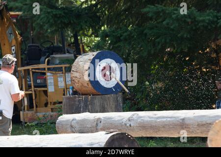 Prospect, Oregon / USA - 16 agosto 2014: Un giudice guarda un'ascia ha colpito il suo obiettivo durante una competizione di abilità al Prospect Hillbilly Jamboree e Timb Foto Stock