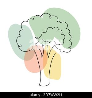 Broccoli in uno stile lineare disegnato a mano. Illustrazione Vettoriale