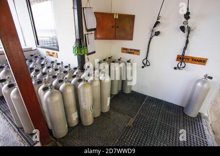 Bombole per immersioni subacquee Nitrox si sono allineate alla stazione di rifornimento per il Wakatobi Resort in Indonesia. Foto Stock