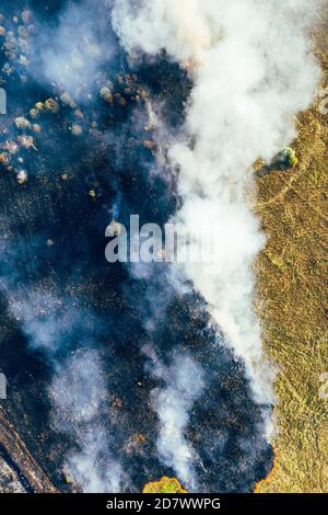 Fuoco di foresta, erba secca bruciante e alberi, disastro naturale, vista aerea, immagine verticale. Foto Stock