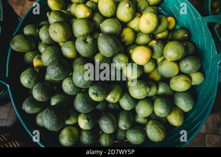 Limoni organici in cesto da giardino non chimico Foto Stock