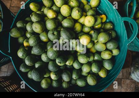 Limoni organici in cesto da giardino non chimico Foto Stock