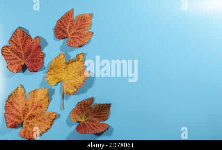 L'autunno dorato si lascia su uno sfondo blu Foto Stock